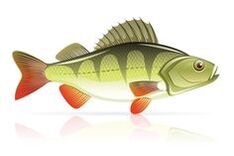 海鲜治疗胰腺炎